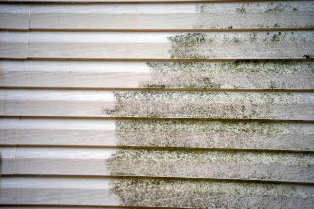 Best Brick Veneer Siding  in Roselle Park, NJ