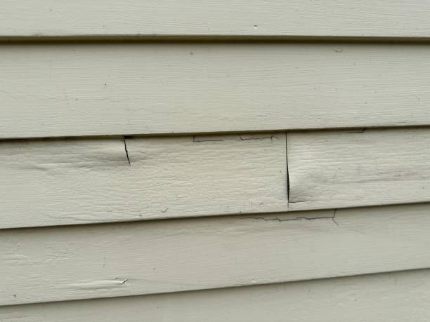 Best Fiber Cement Siding Installation  in Roselle Park, NJ