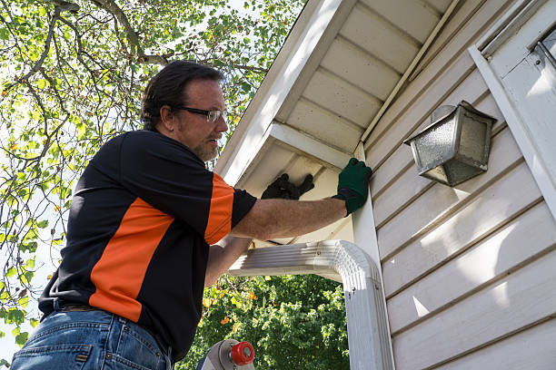 Best Siding Painting and Refinishing  in Roselle Park, NJ